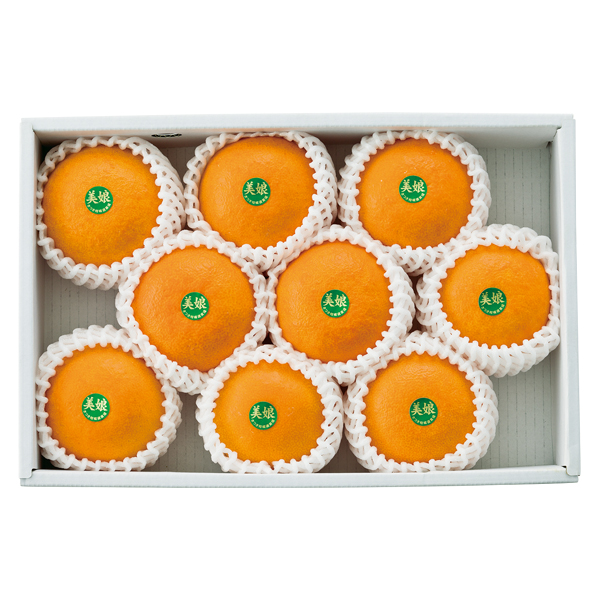 ct[c 啪Y IWy͂ԁF11{`z